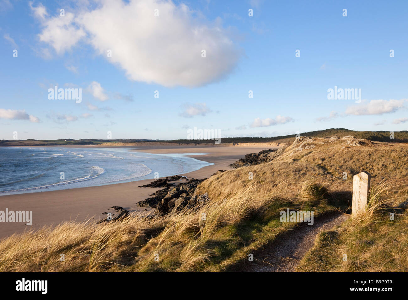 Coastal footpath on Marram grass sand dunes on Llanddwyn Island National Nature Reserve AONB. Newborough Anglesey North Wales UK Stock Photo