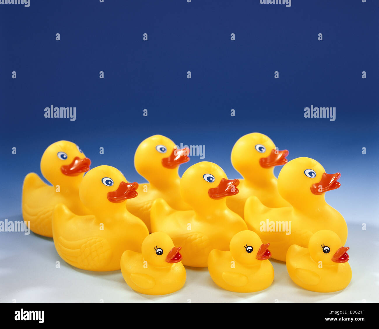 rubber duck size