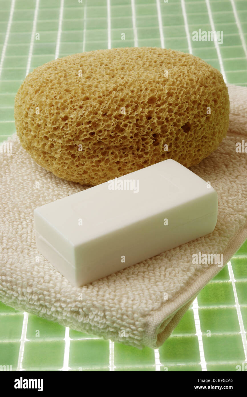 bath sponge with soap