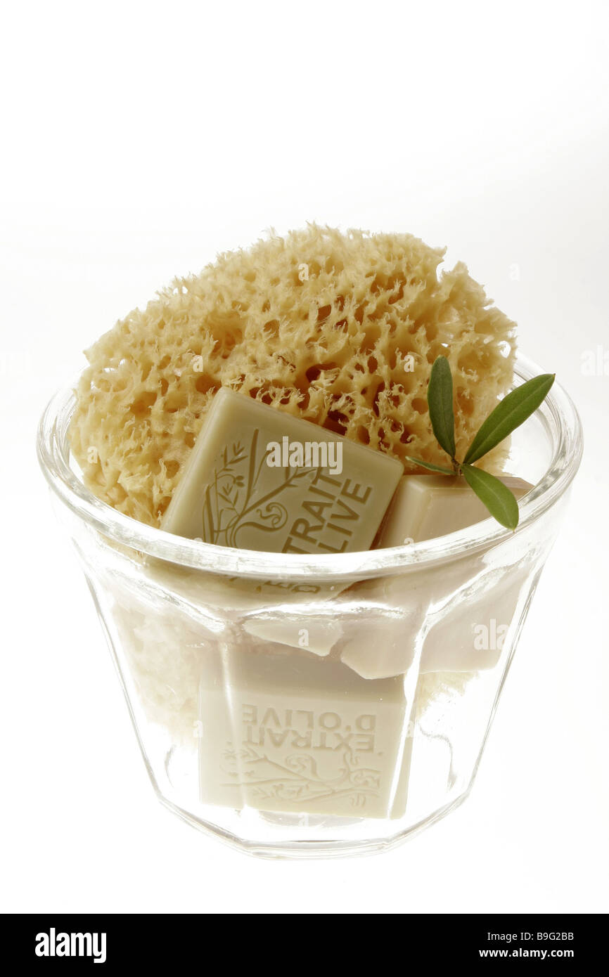Cosmeticsarticles glass bathsponge soaps olivebranch series glass