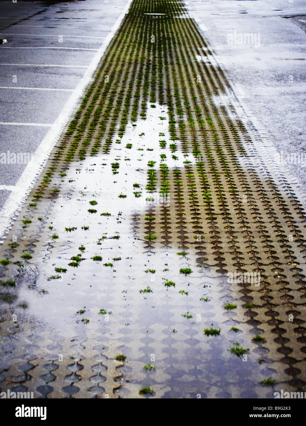 Parking place lawn-stones puddle place empty leaves deserted flagging way holes grass wet water unevenly water-accumulation Stock Photo