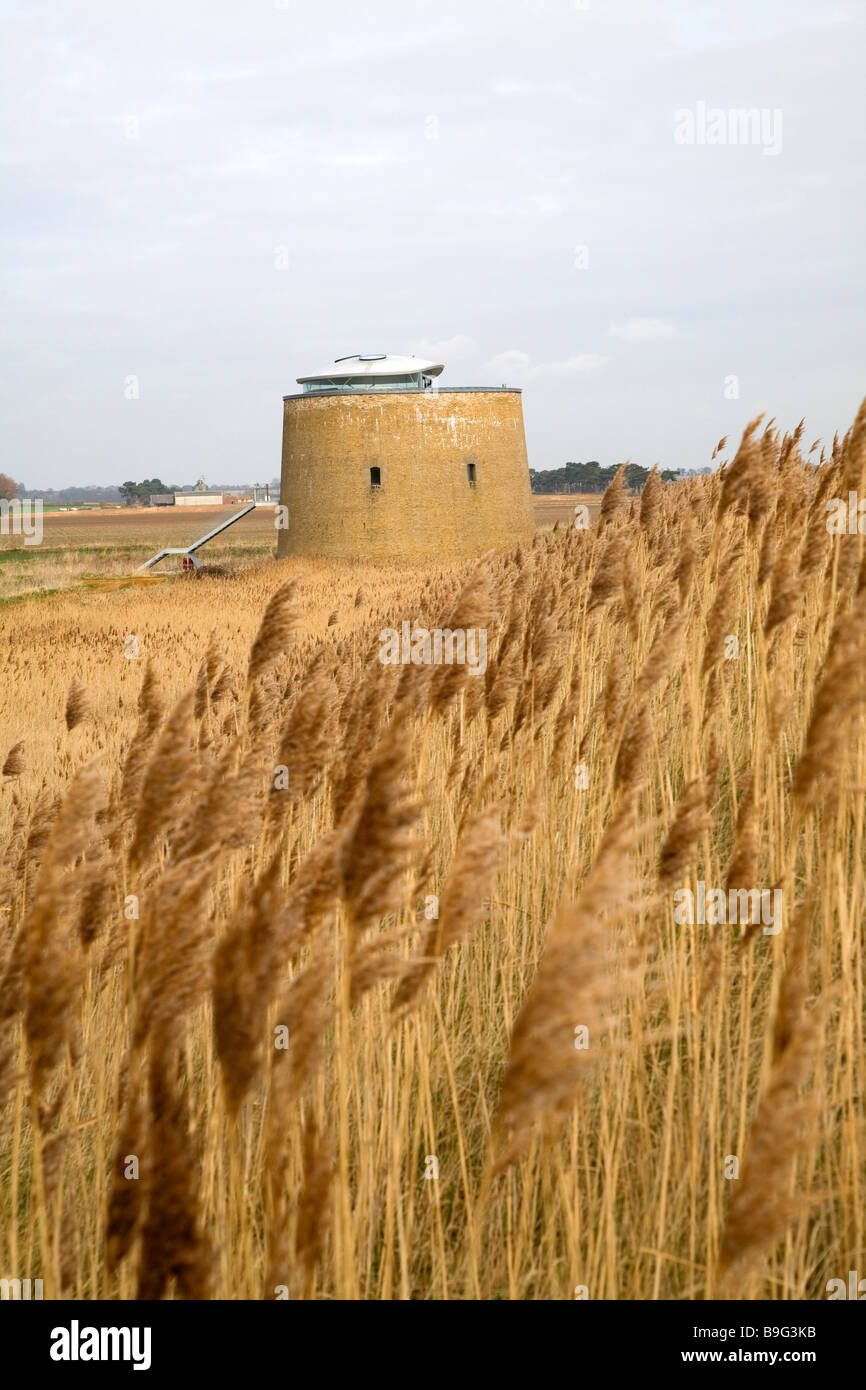 Martello tower Y in the marshes Bawdsey Suffolk England Stock Photo Alamy