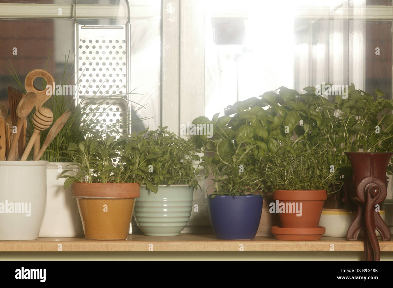 Kitchen-herbs  windowsill Stock Photo