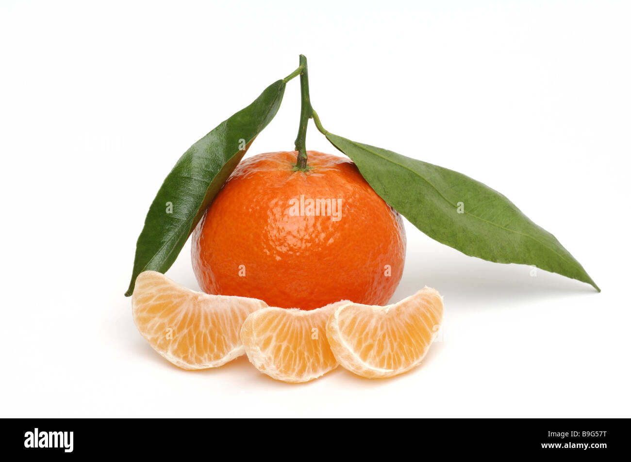 Tangerine completely tangerinepiece three series fruit fruits Southfruits clementine citrus