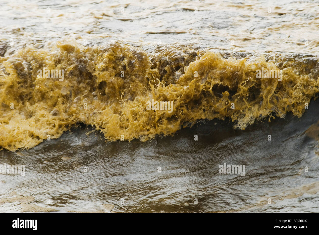 oil pollution on beach emulsified oil and water in surf. Pacific Adventurer disaster queensland 2009  Wednesday, 11 March , 2009 Stock Photo