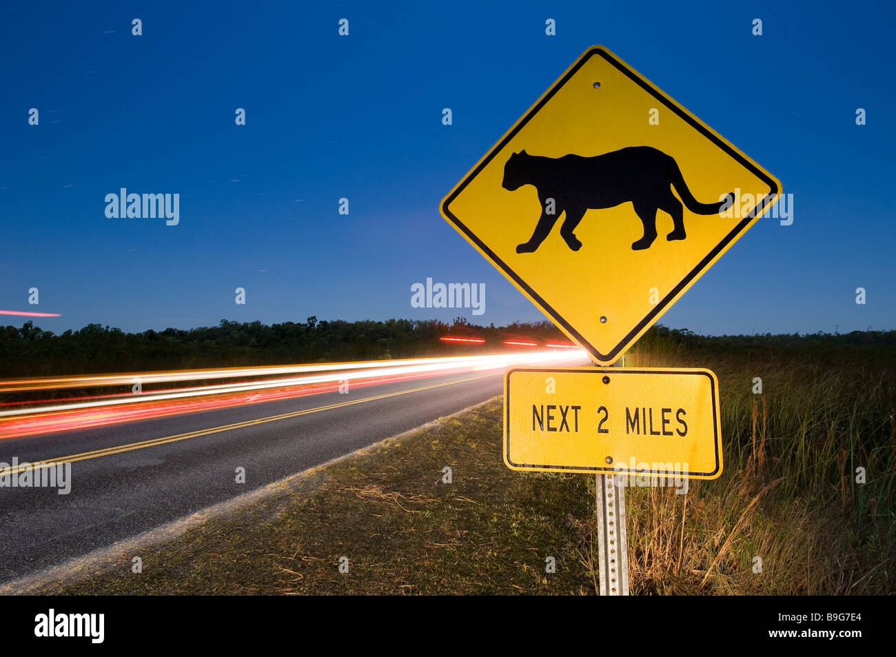 Traffic sign warns motorists about endangered Florida Panther, Everglades National Park, Florida Stock Photo