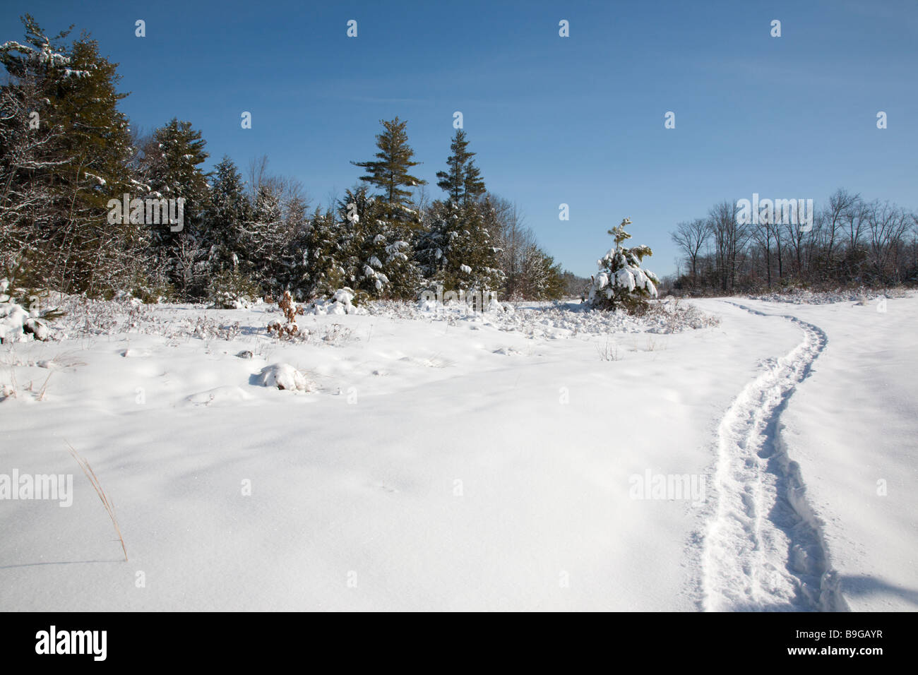 Snowshow tracks in a field during the winter months in Fremont New