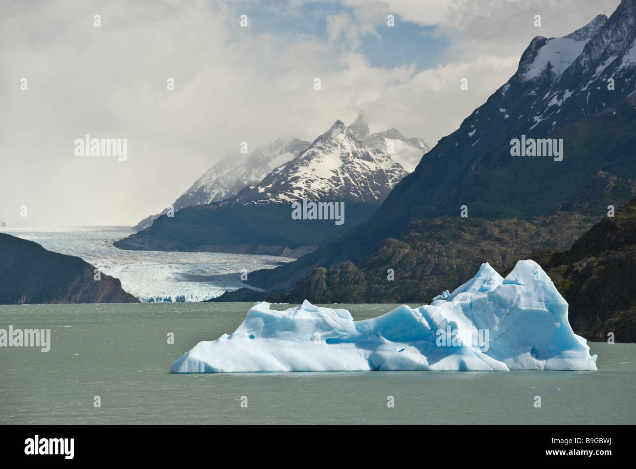 Elk198 4358 Chile Patagonia Torres del Paine NP Lago Grey with iceberg Stock Photo