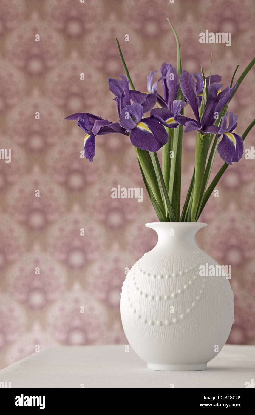 Vase iris bloom purple flowervase knows plants flowers lilies lily