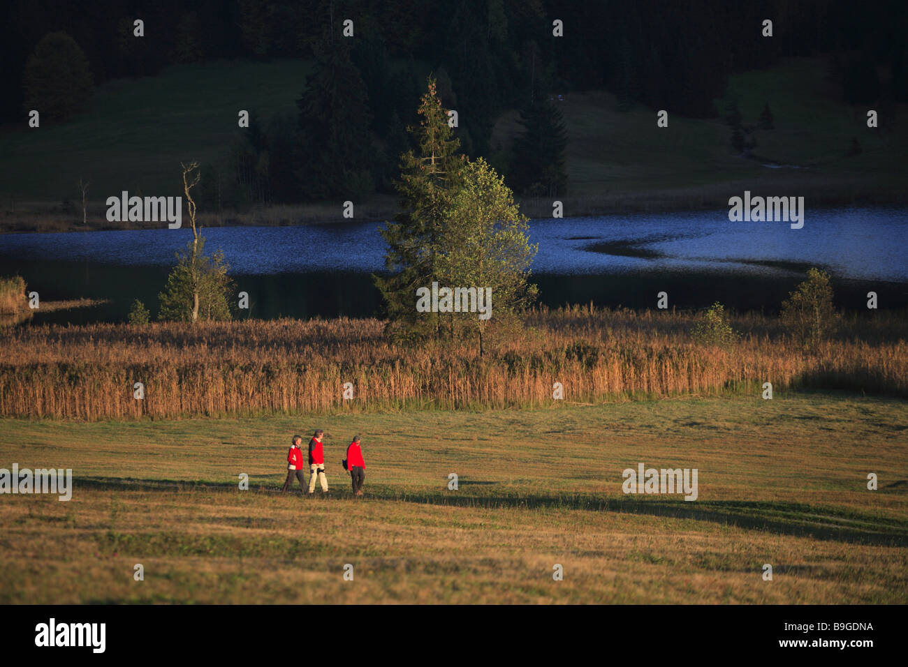 Walk in the lake hi-res stock photography and images - Alamy