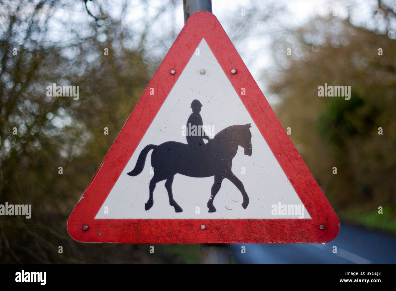 Accompanied Horses or Ponies warning roadsign Stock Photo