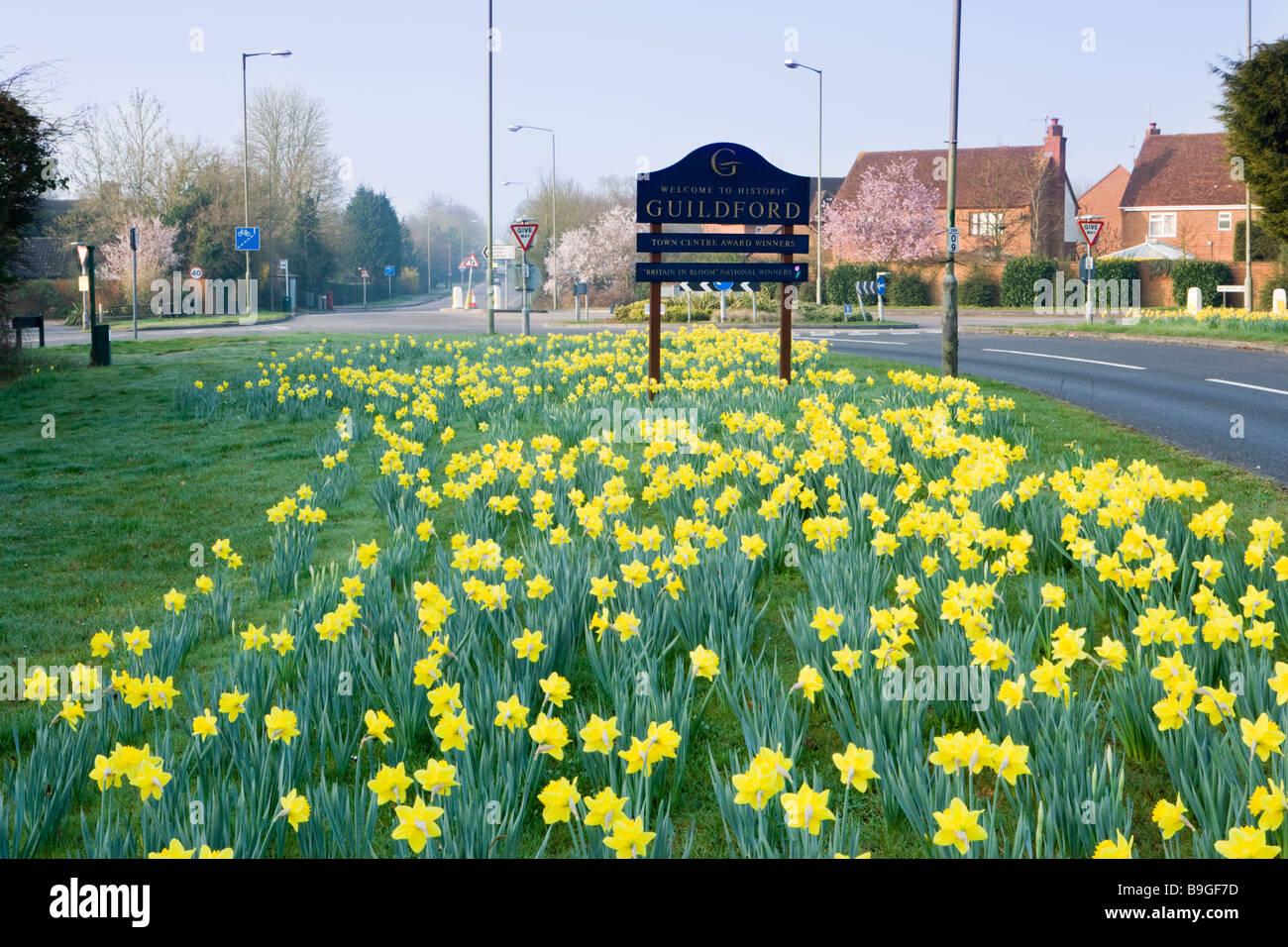 Welcome to Guildford sign at roadside with daffodils, Surrey, UK Stock Photo