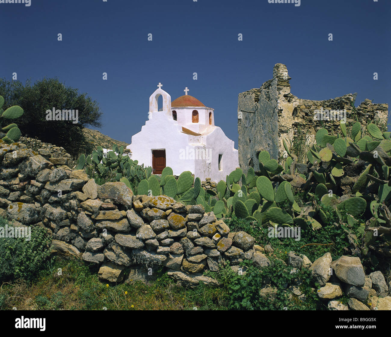 Greece Cyclades island Mykonos Ano Mera stone-wall ruin church Aegean  mountain-village cacti nature stone -wall chapel Lord's Stock Photo - Alamy