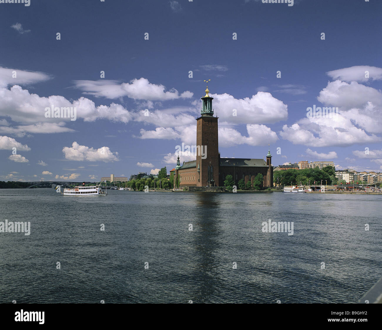 My Image 26