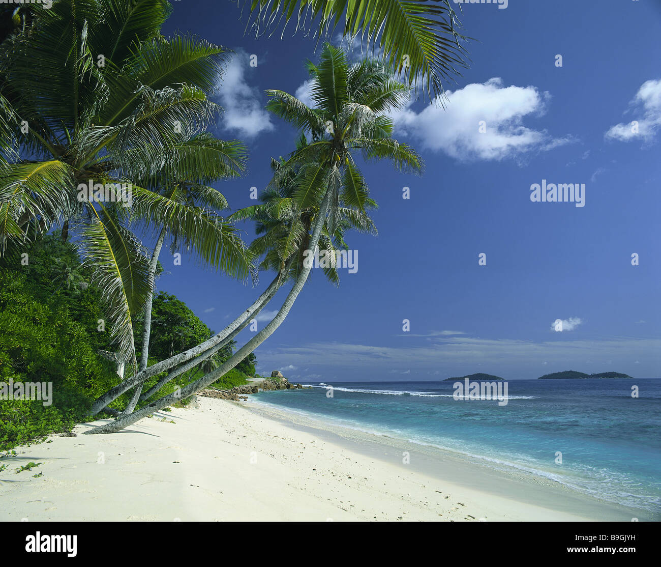 Seychelles island La Digue beach palms lake neighbor-islands clouded ...