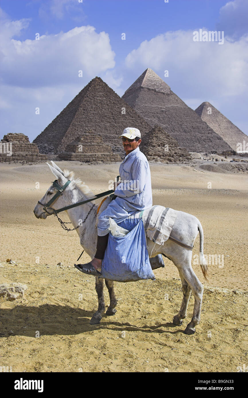 Egypt Cairo Giseh pyramids donkey-riding Antiquity architecture trip destination style constructions sightseeing gaze camera Stock Photo