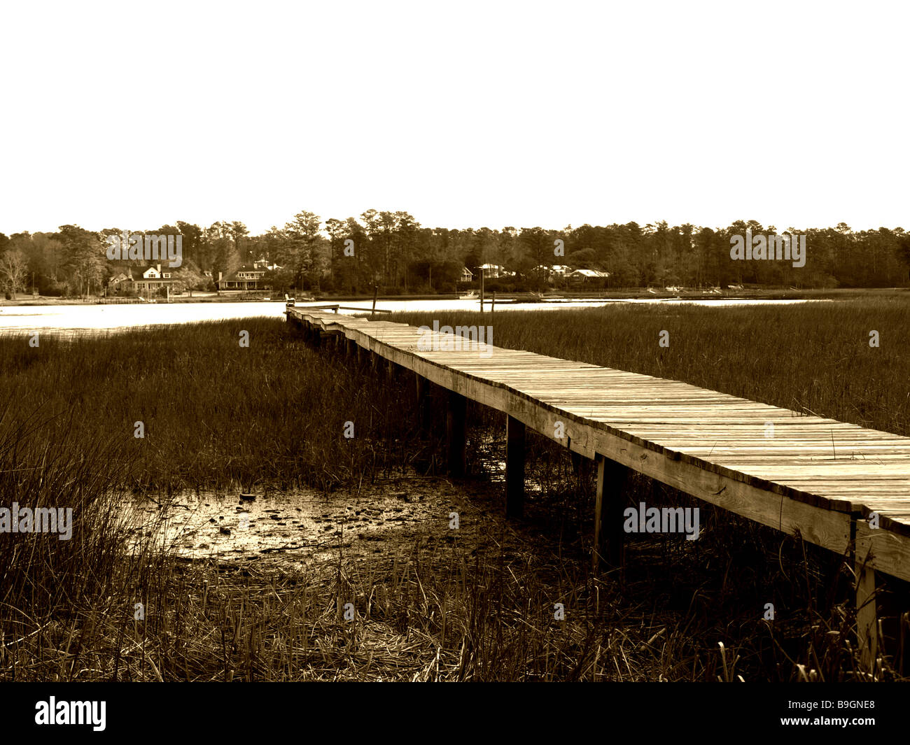 sepia view of marsh river creek and boat dock low perspective with details of grass wooden planks Stock Photo