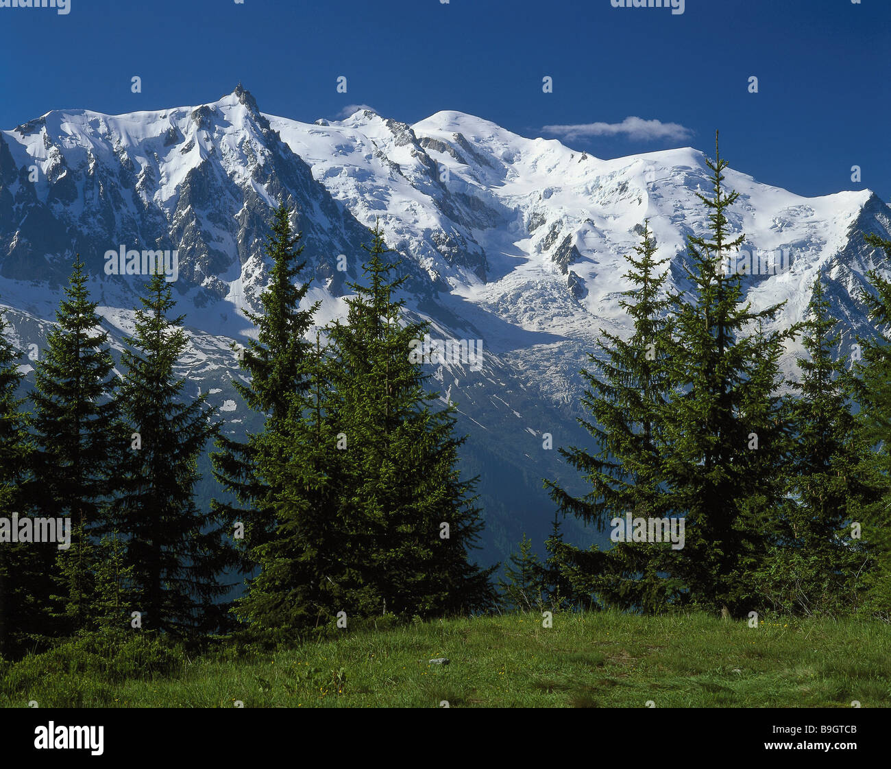 France department haute-savoie Alps Col des montets view Montblanc mountain-meadow trees mountain-forest view mountains Stock Photo