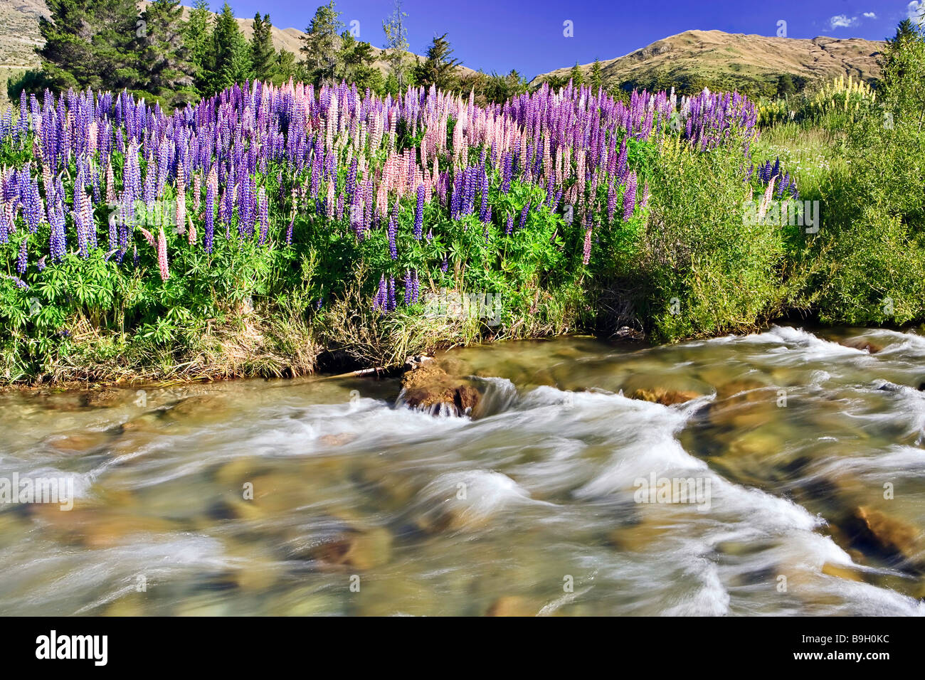 Cardrona river hires stock photography and images Alamy