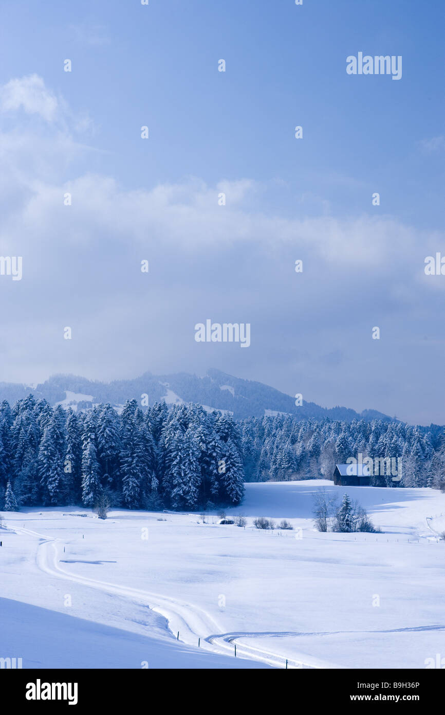 Winter-landscape withering Bregenzer Forest Vorarlberg Austria Stock Photo