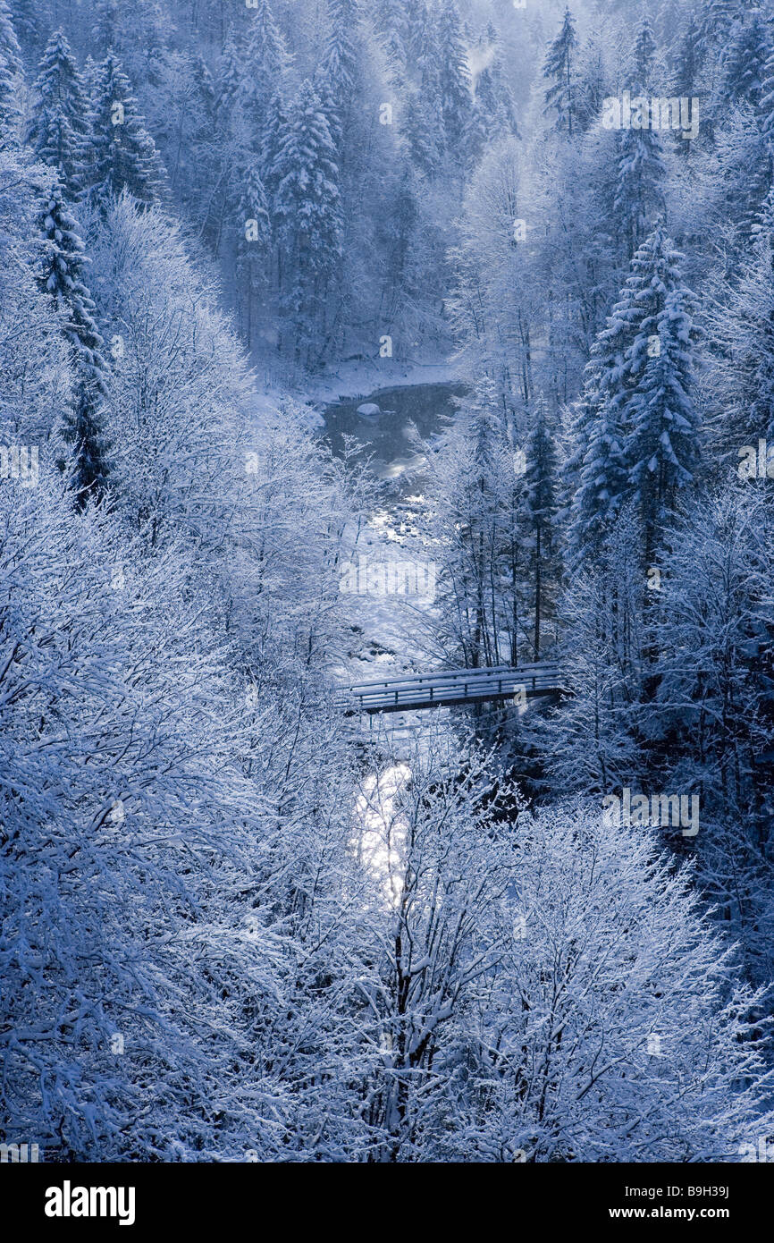 winter forest Bolgenach Bregenzer Forest Vorarlberg Austria Stock Photo