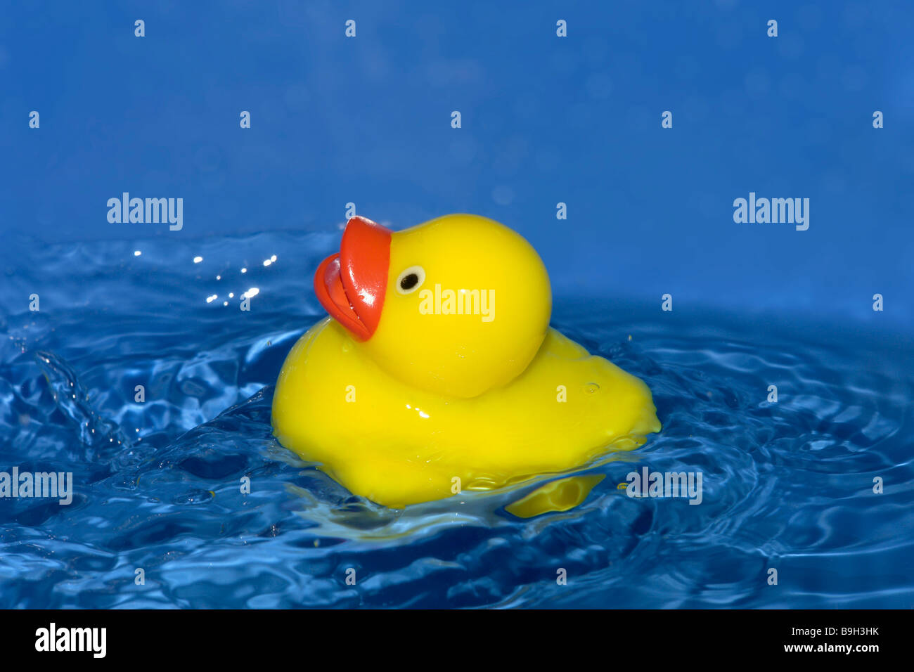 Rubber duck in water Stock Photo - Alamy