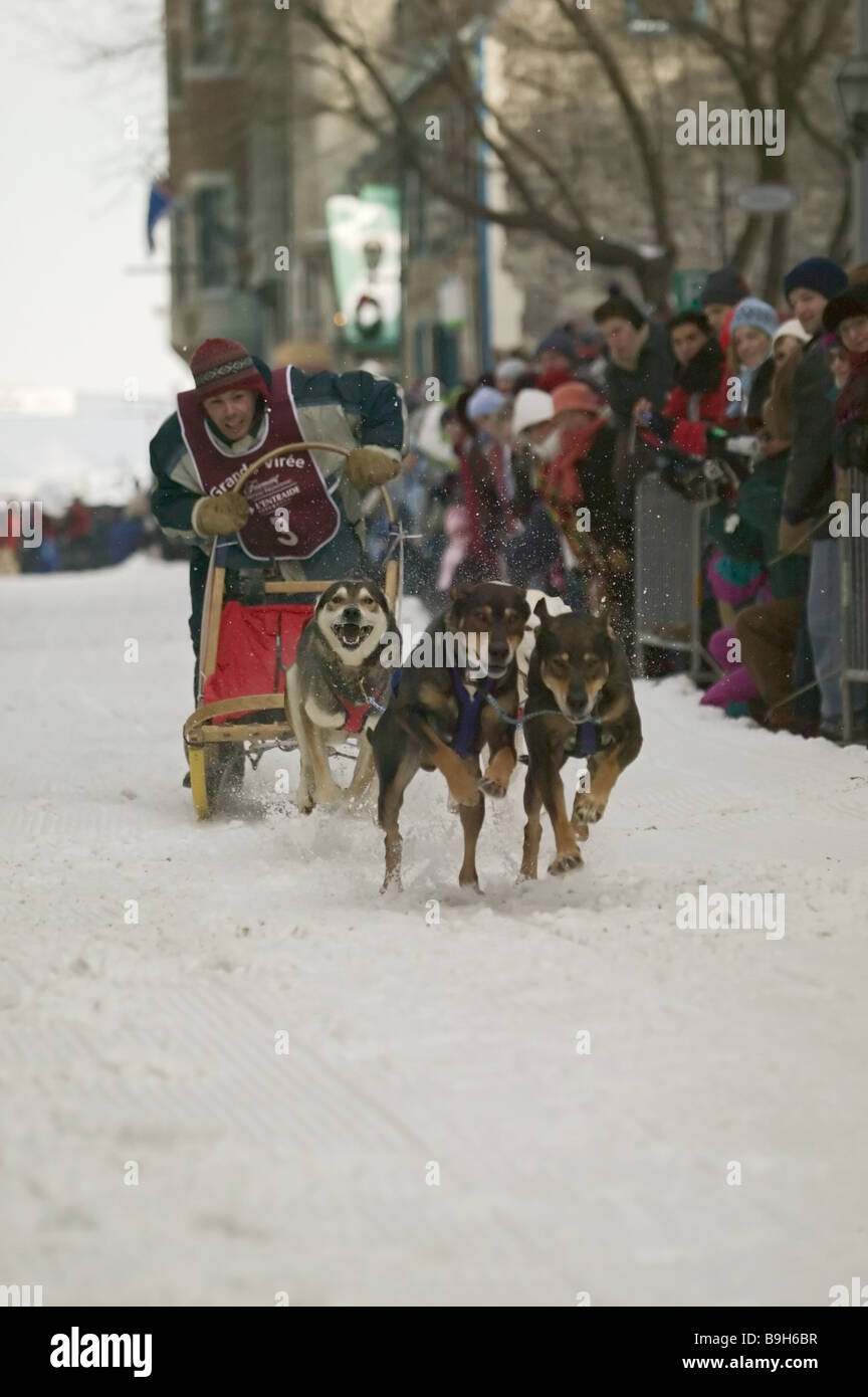 Canada Quebec city Carnaval de Quebec sleigh-dog-races no models city destination tourism sight release North America man Stock Photo