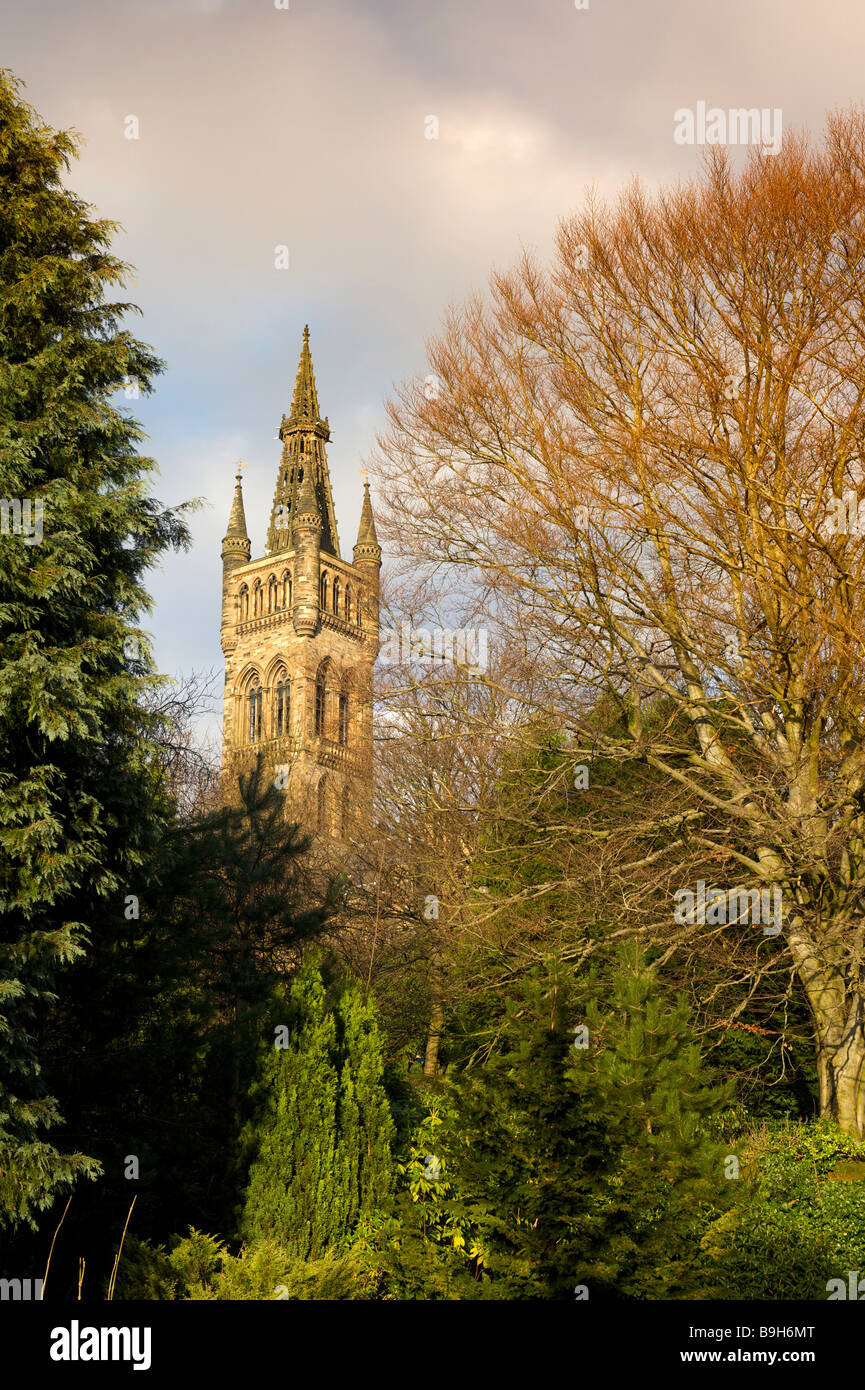 University of Glasgow tower from Kelvingrove Park Glasgow Scotland UK Stock Photo