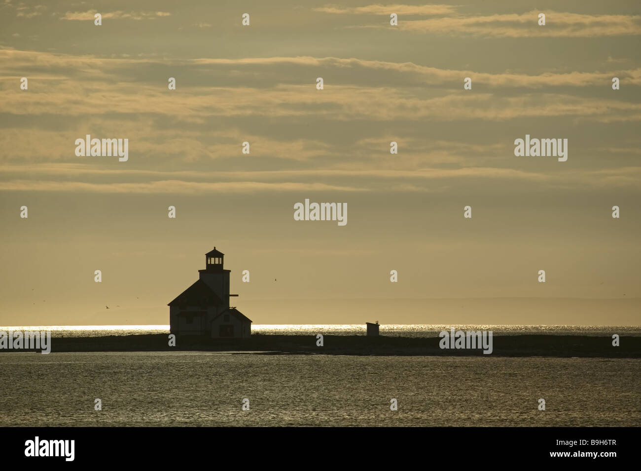 Canada Newfoundland viking Tail Strait of Belle Isle Flower's Cove