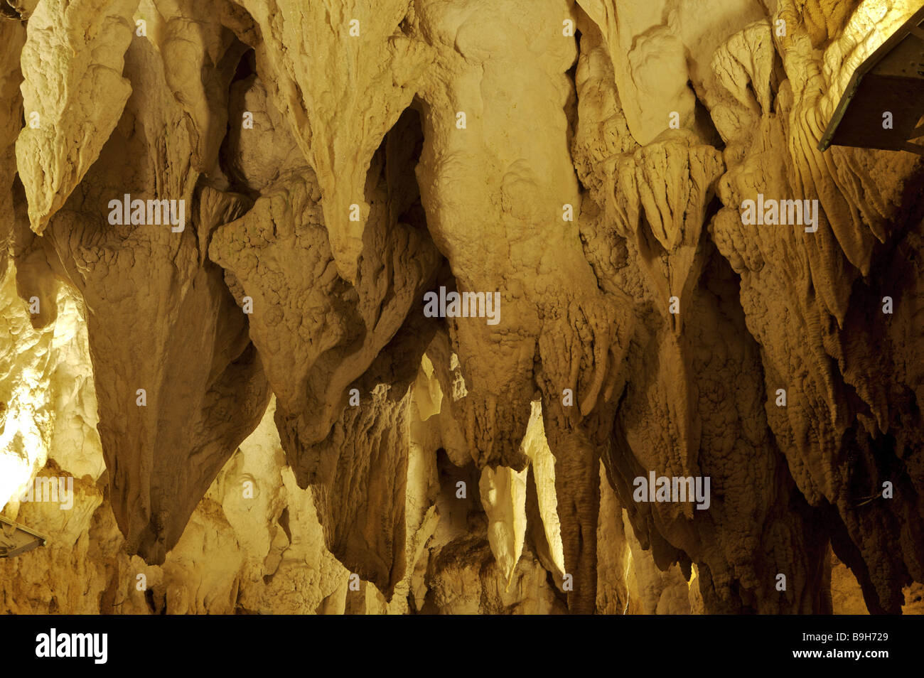 New Zealand northisland Waikato Waitomo Caves Aranui Cave limestone