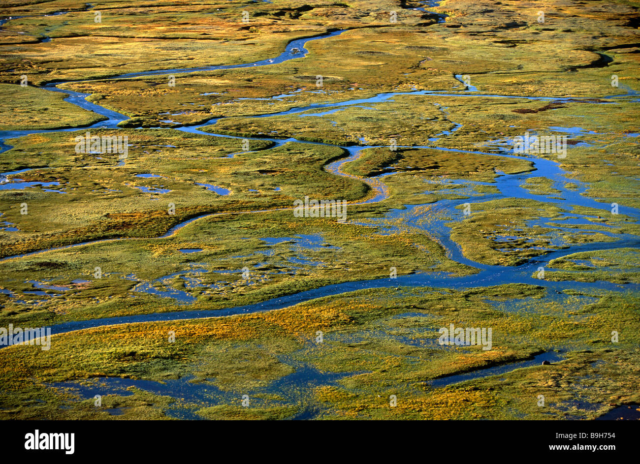 Pampa grassland surrounding the Pueblo village of Cariquima, Isluga