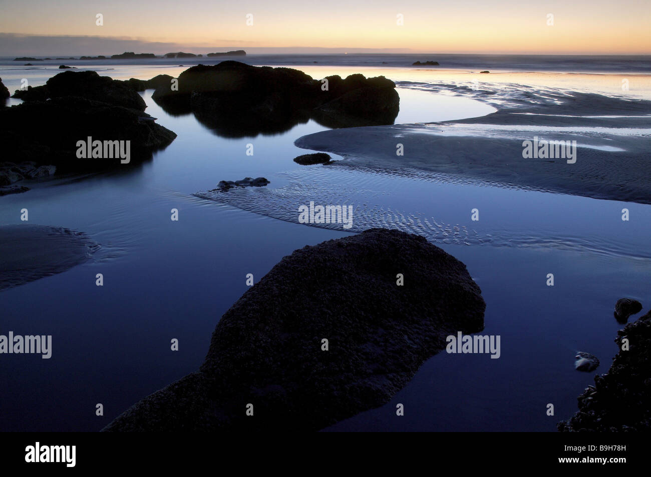usa Washington State Olympic National park Kalaloch beach rocks ebb ...