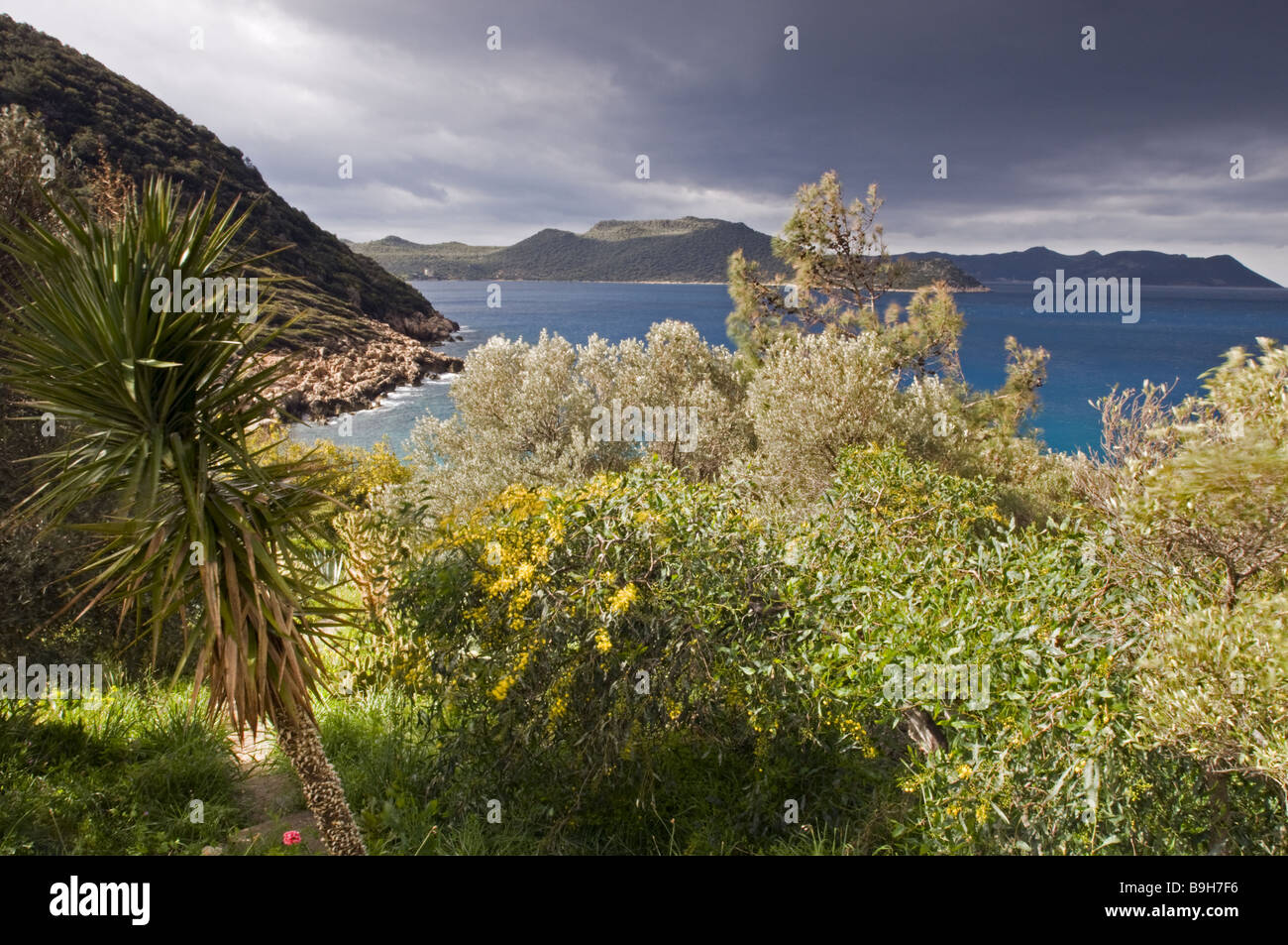 Mediterranean vegetation, Kas Turkey Stock Photo