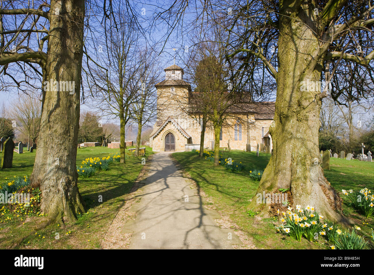 Wotton Church with daffodils, near Dorking, Surrey, UK Stock Photo