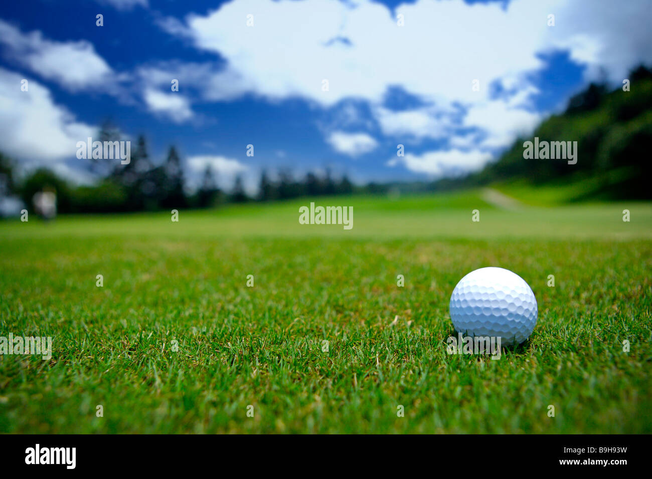Golf ball in grass close up Stock Photo Alamy