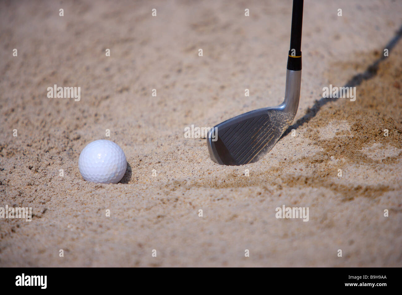 Close up of a golf club and a golf ball in sand trap Stock Photo Alamy