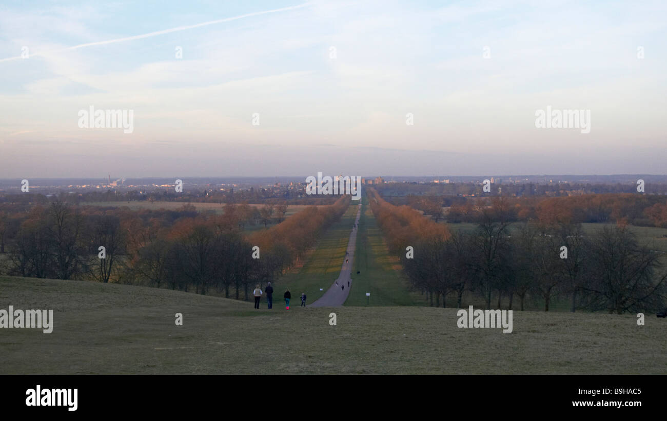 the long walk in windsor great park Stock Photo