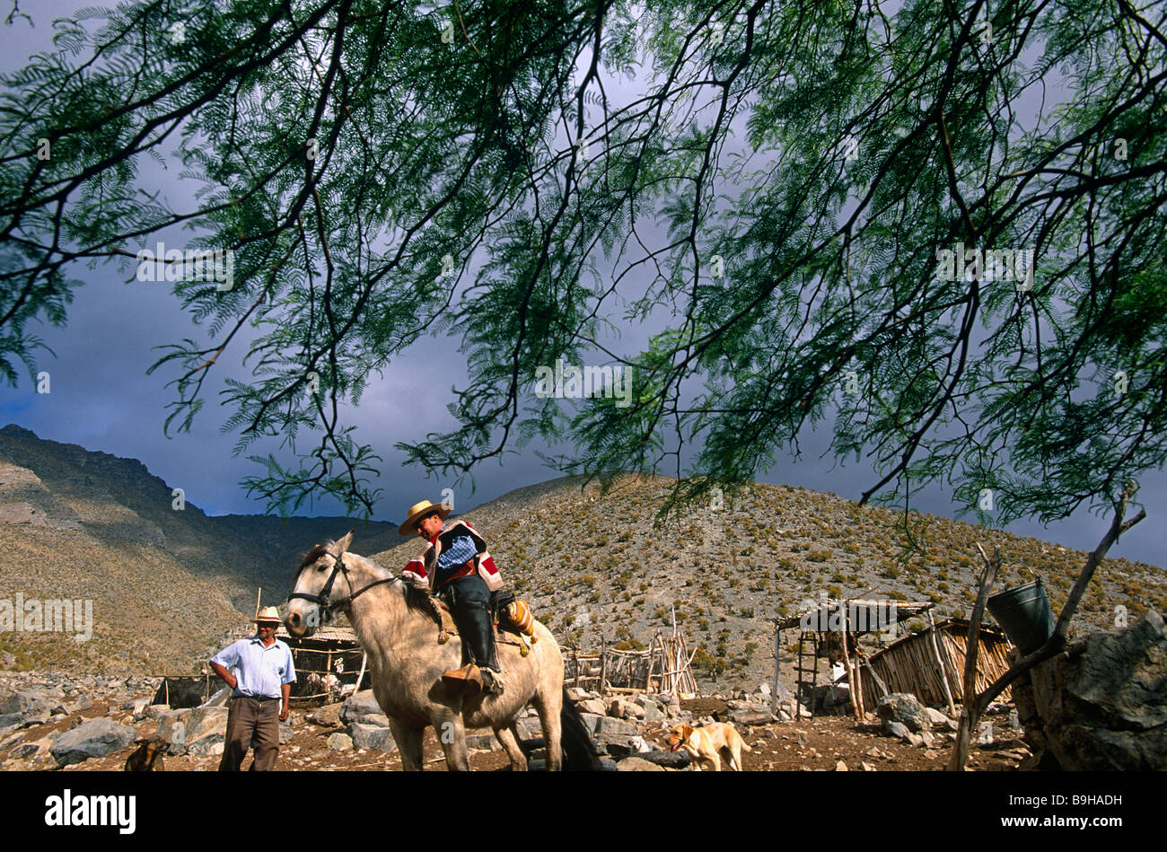 Andes foothills horse chile hires stock photography and images Alamy