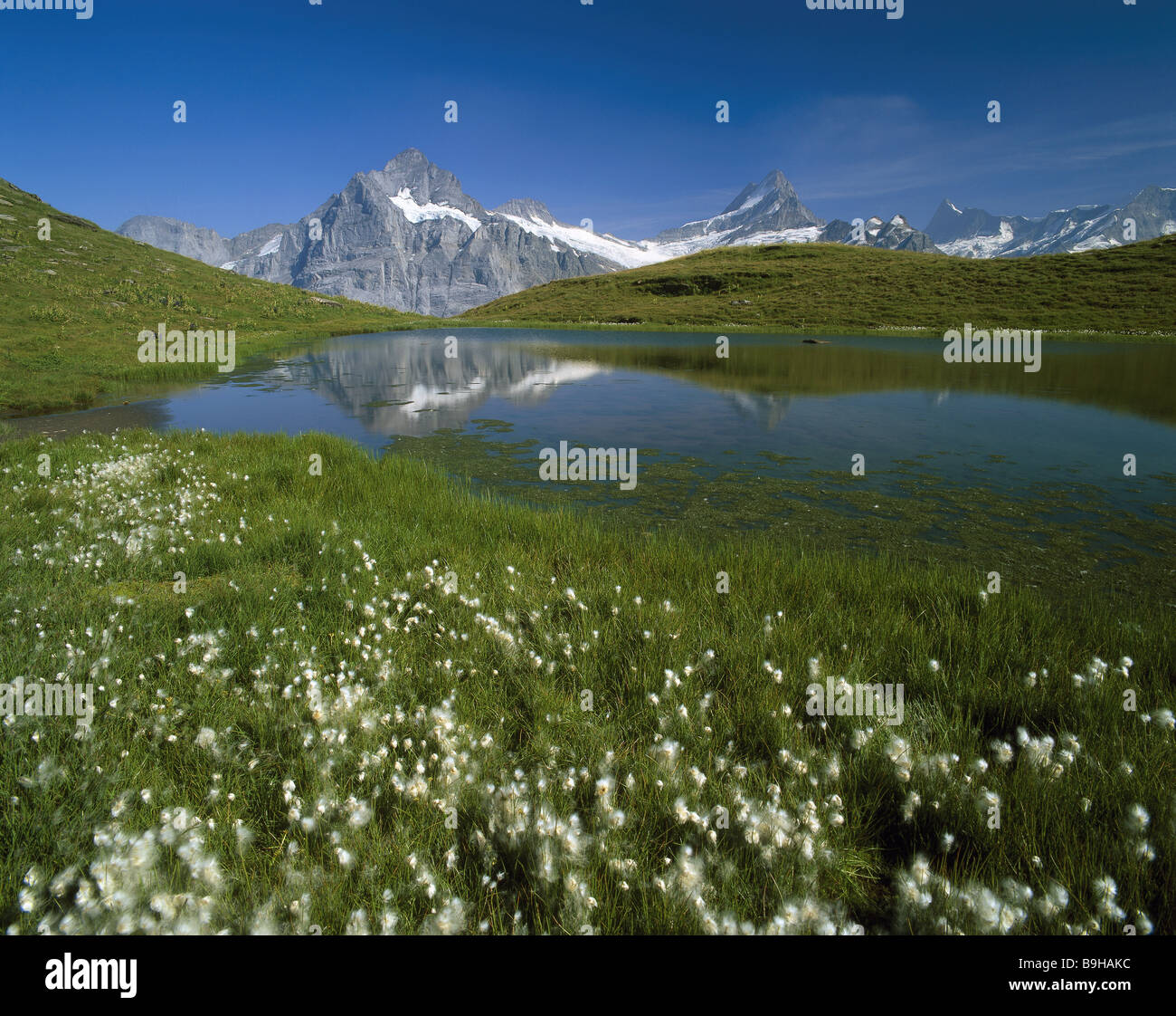 Switzerland Berner Oberland GrindelwaldFirst Bachalpsee summer mountain scenery mountains