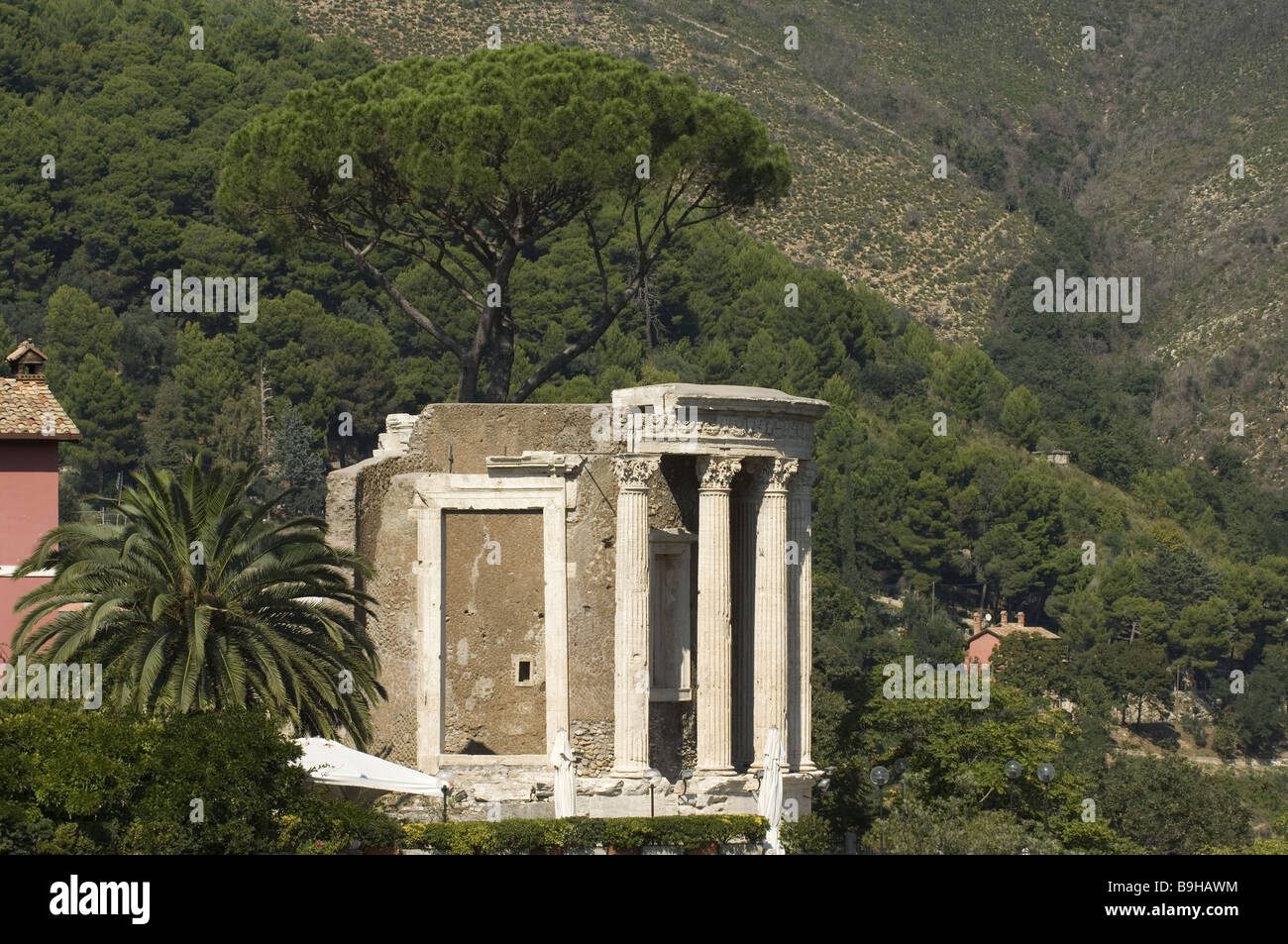Sybille hi-res stock photography and images - Page 2 - Alamy