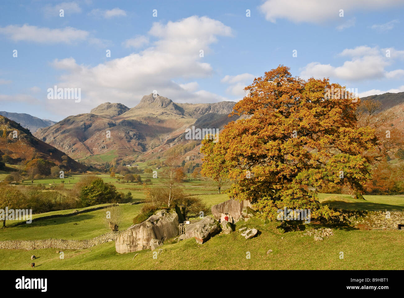 Great Langdale in autumn Lake District Cumbria UK Stock Photo