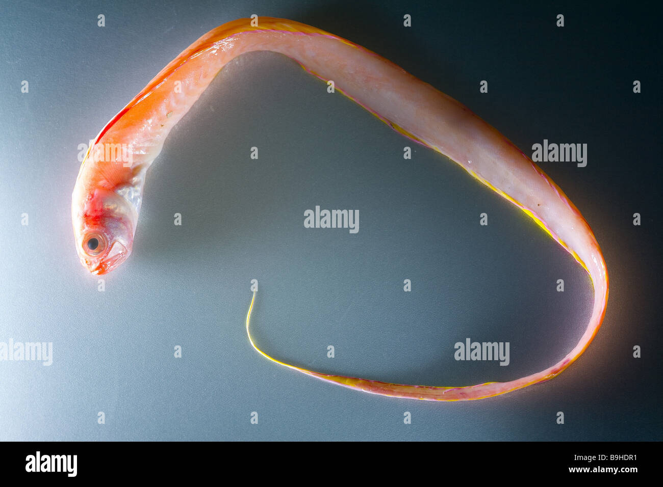 Aalartig hi-res stock photography and images - Alamy