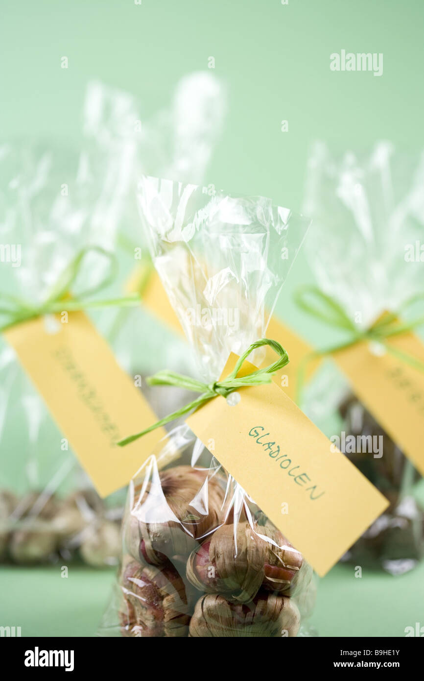 seed case differently closeup detail Stock Photo Alamy