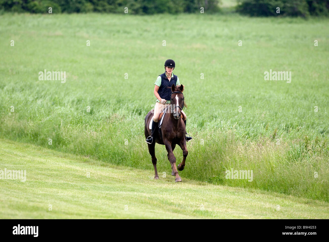 North America Canada Ontario teenage girl riding horse in field Stock Photo
