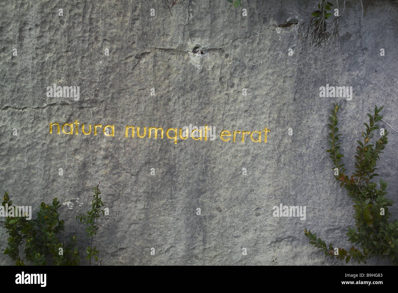 Golden inscription hi-res stock photography and images - Alamy