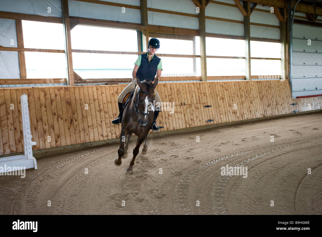 North America Canada Ontario teenage girl riding horse in arena Stock Photo