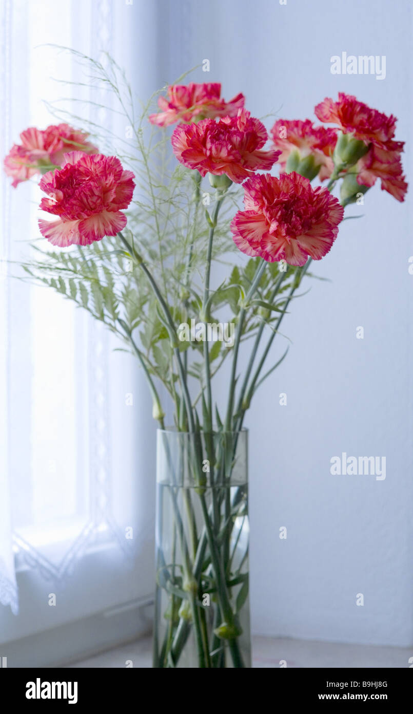 Carnation-bouquet Stock Photo