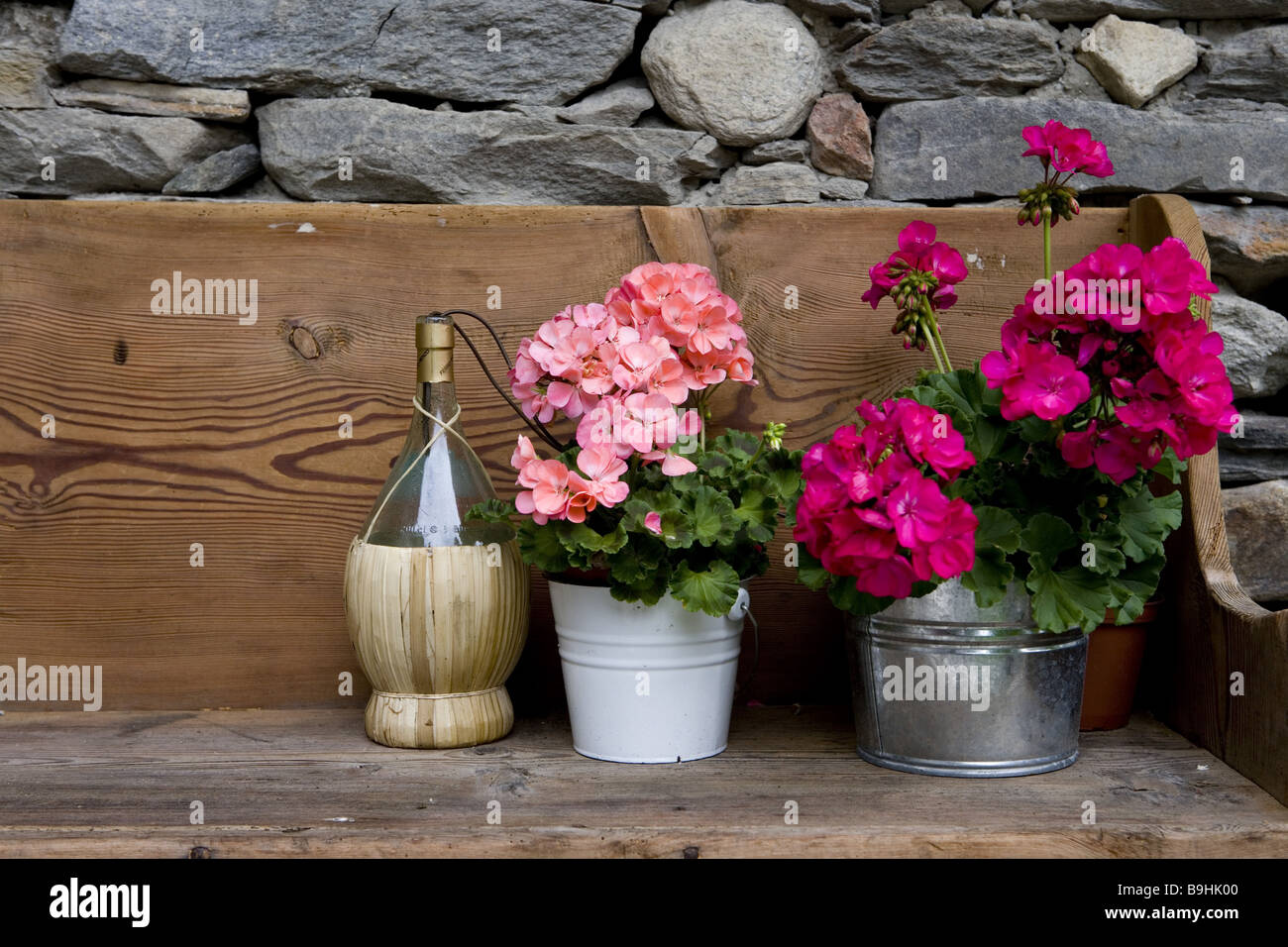 Bank wine bottle irrigation planters geraniums Stock Photo Alamy