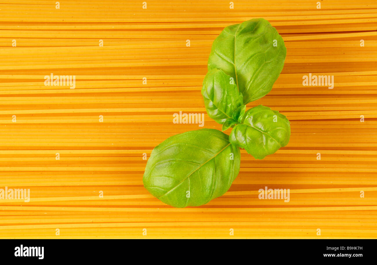Spaghetti with basil leaves Stock Photo Alamy