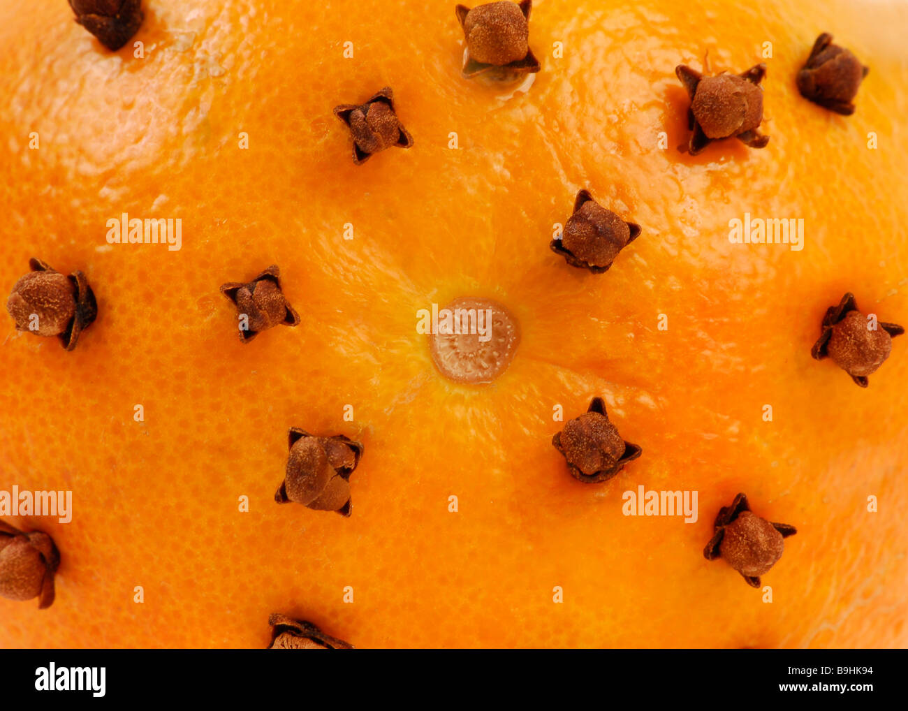Orange peel studded with cloves, aromatic christmas decoration Stock Photo